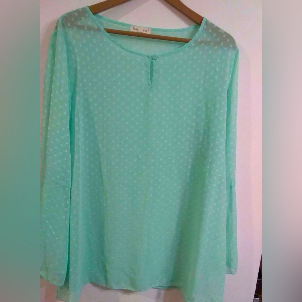 Preowned - Great condition. Indigo Soul- XL women’s teal/ green top.